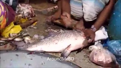 实拍印度人民在鲜鱼市场切割鱼肉的场景，那把刀真吓人