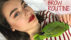 Brow Routine 2017 ...