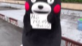熊本熊参与ALS冰桶挑战！