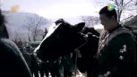 黄渤摸了一下奶牛的奶子 就被全村人给绑起来游行