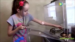 实拍10岁女孩每天用老鼠喂养蛇，胆子...