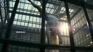 《自杀小队》小丑夫妇特辑