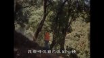 周杰伦《枫》MV（1980）